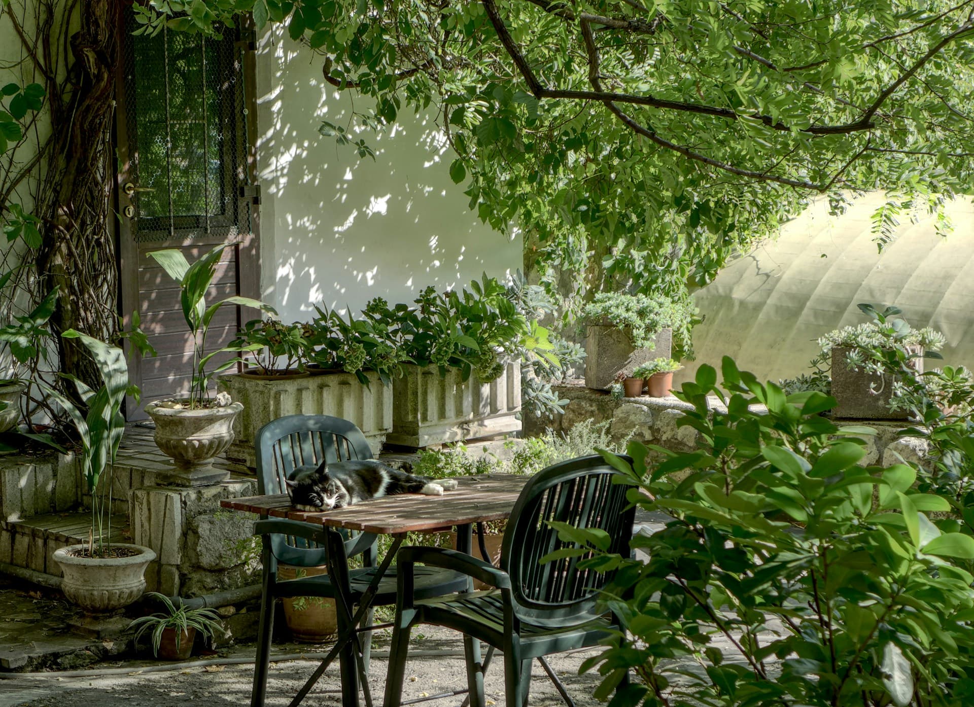 Landscape & Gardening